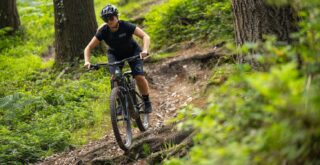 Woman descending on an Alpine Trail E1 in the English forest.