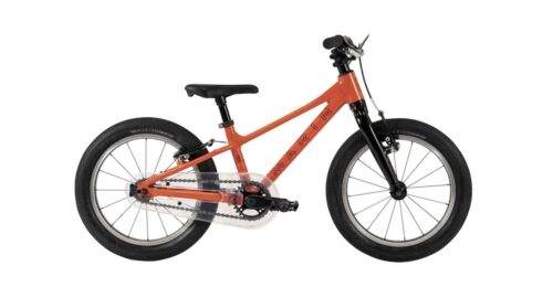 Coast Trail 16"