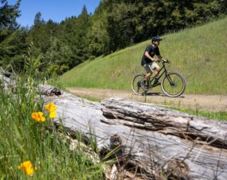 Man riding a Marin Larkspur 2 on a trail, Occidental, CA.