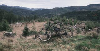 Marin Pine Mountain 2 in a logging area, Oregon.