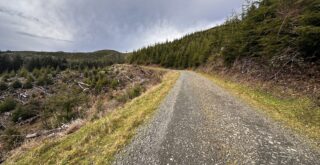 Logging road in rural Oregon.