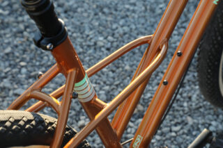 Marin Larkspur 2 frame detail.